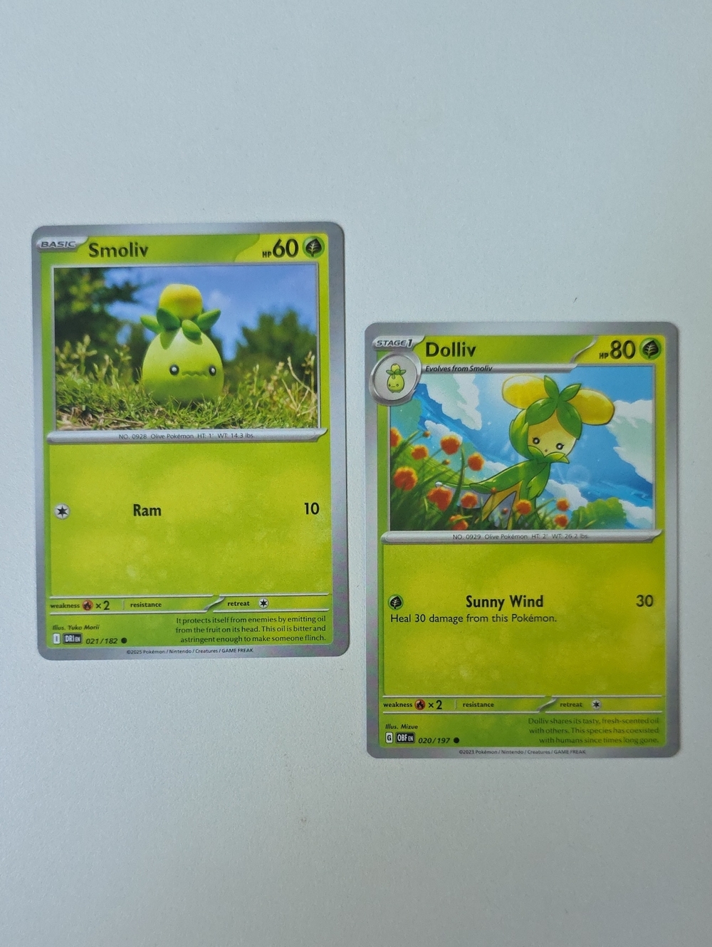 Pokemon Smoliv And Dolliv Trading Card